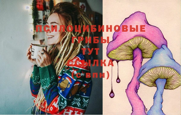 мяу мяу мука Каменногорск